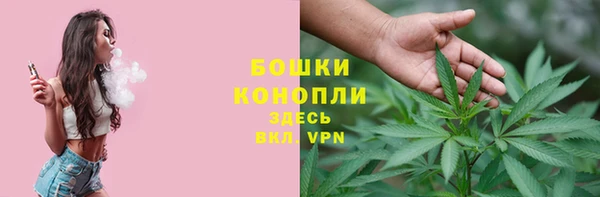 ECSTASY Новодвинск