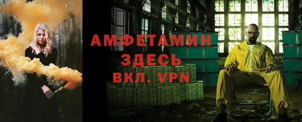 спиды Новозыбков
