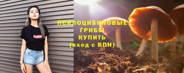 мдпв Сосновка