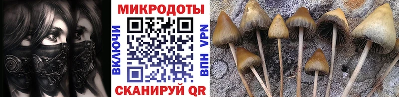 Галлюциногенные грибы мухоморы  наркота  Ахтубинск 