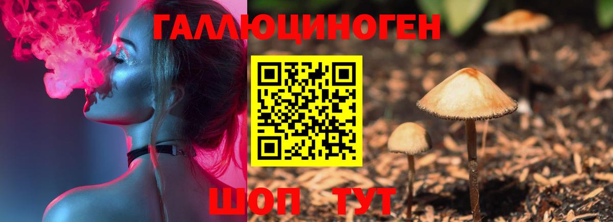 Псилоцибиновые грибы мицелий  Вход с VPN  Ахтубинск 