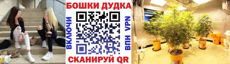 Канабис план  Ахтубинск 